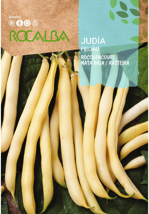 Judía De Enrame Vitalis - Semillas Batlle - Huerto Y Jardín