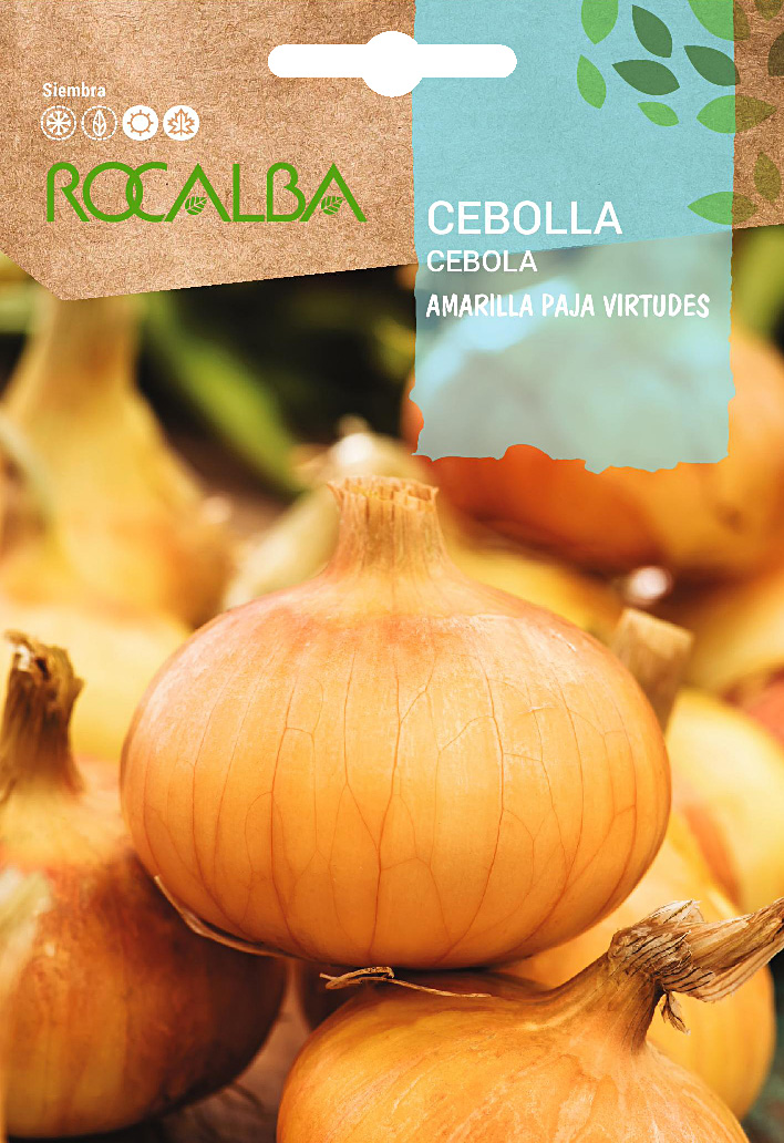 Cebollas Moradas Y Amarillas Imagen de archivo - Imagen de necidad