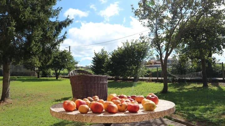 Del centro de una ciudad, a una gran casa en el campo