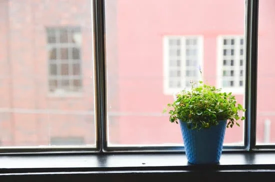 ¿Confinado en casa? 10 cosas que puedes hacer mientras
