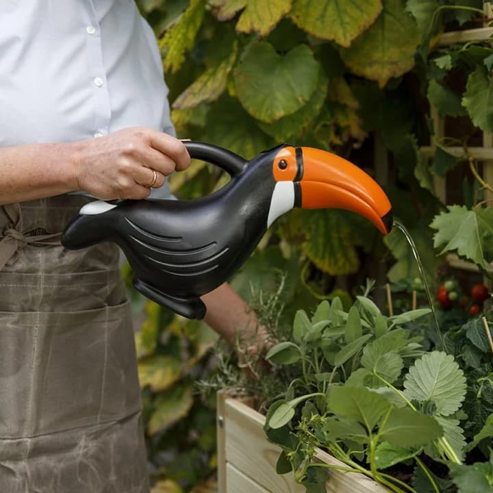 Los 8 errores más frecuentes al regar las plantas en verano