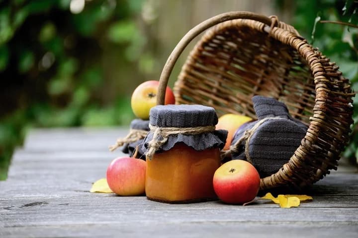 ¿Qué puedo plantar en la huerta en otoño?