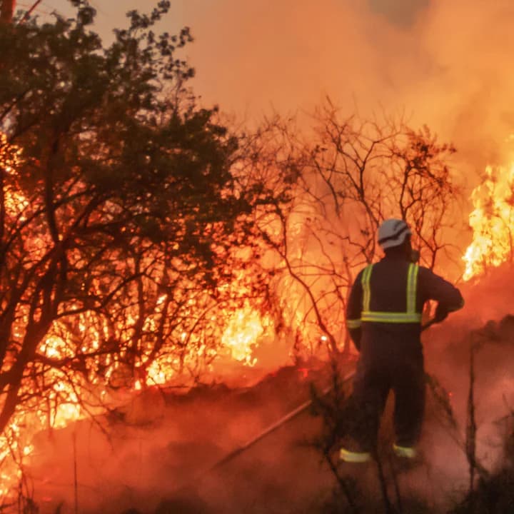 Los incendios por desgracia, están arrasando España.