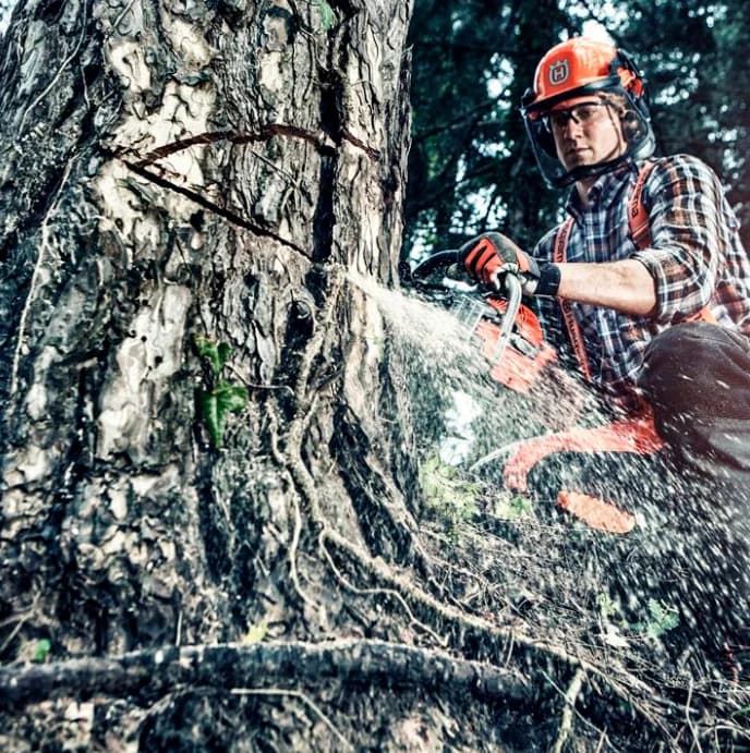 Motosierras de poda Husqvarna, máquinas para el cuidado de árboles