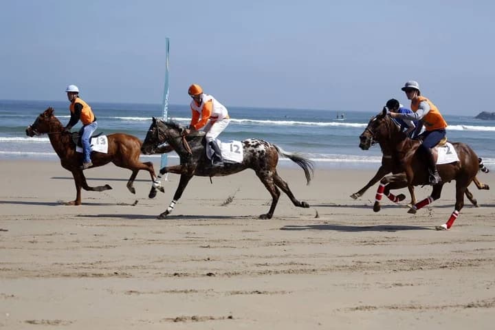 La formula perfecta para completar la dieta de tu caballos