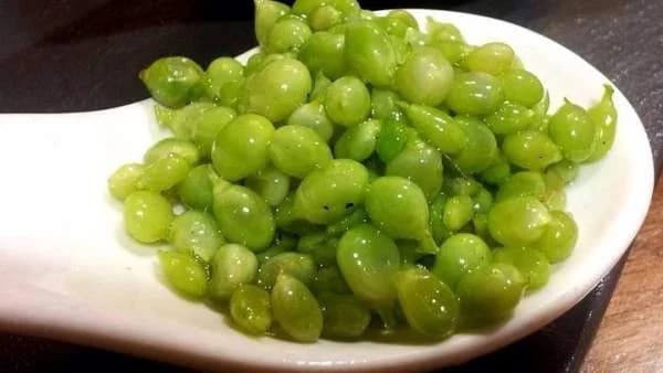 Como plantar y recolectar Guisante Lagrima. Los secretos del caviar vegetal