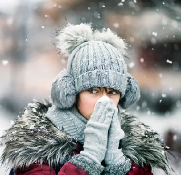 Una Mirada a la Llegada del Invierno