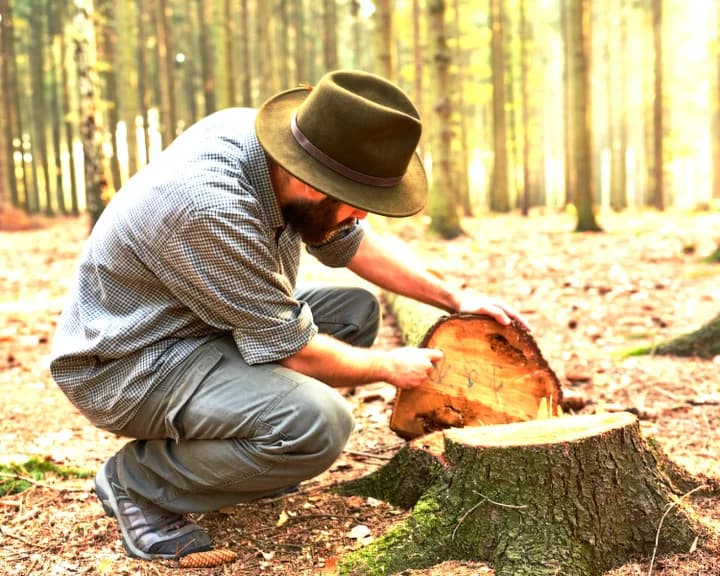 ¡Voy a ser ecoverdesostenible!