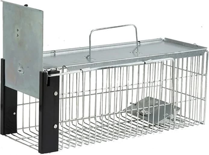Jaula Trampa Ratas 16x41x17 cm — foto principal