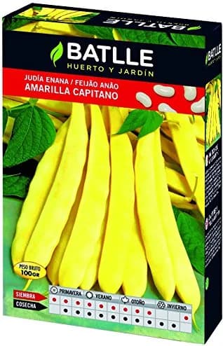 Semilla Judia Amarilla Capitano 250 Gramos — foto principal