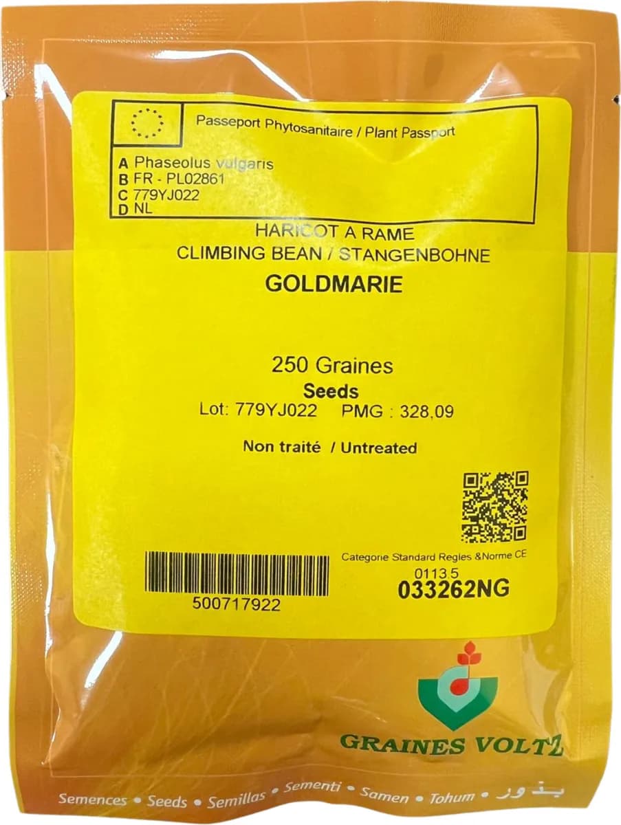 Semilla Judia Goldmarie 250 Unidades — foto principal