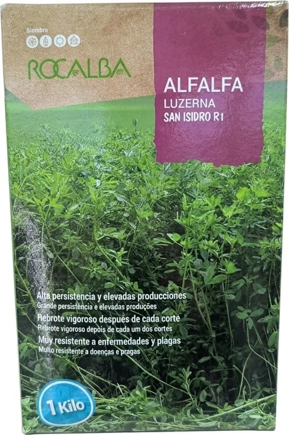 Semilla Alfalfa R-1 San Isidro 1 kg — foto principal