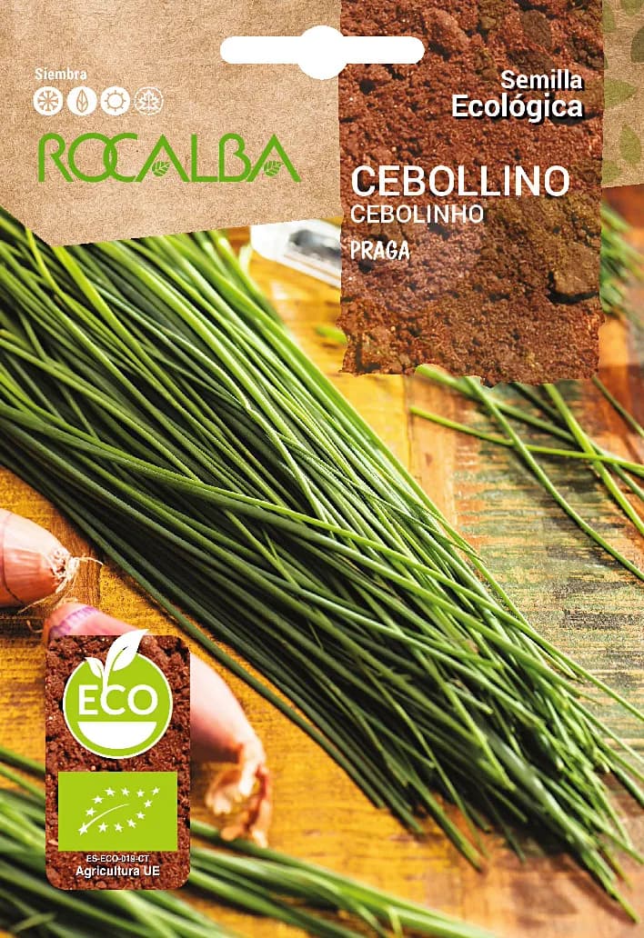 Semilla Ecologica Cebollino Praga — foto principal