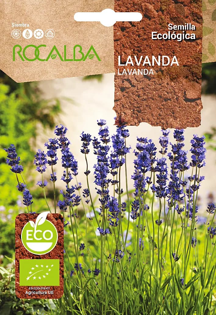 Semilla Ecologica Lavanda — foto principal