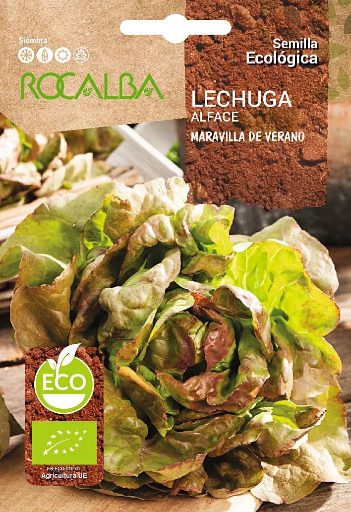 Semilla Ecologica Lechuga Maravilla de Verano — foto principal