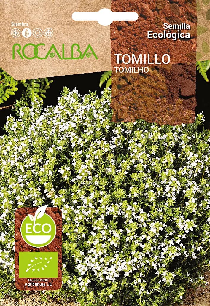 Semilla Ecologica Tomillo — foto principal