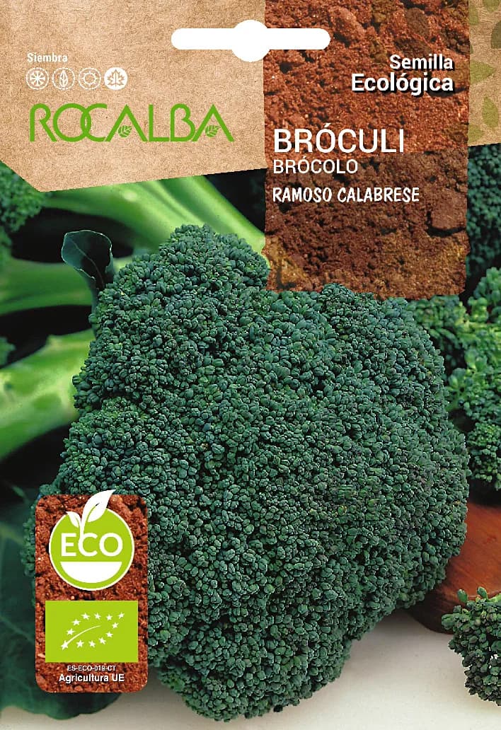 Semilla Ecologica Brocoli Verde Calabrese — foto principal