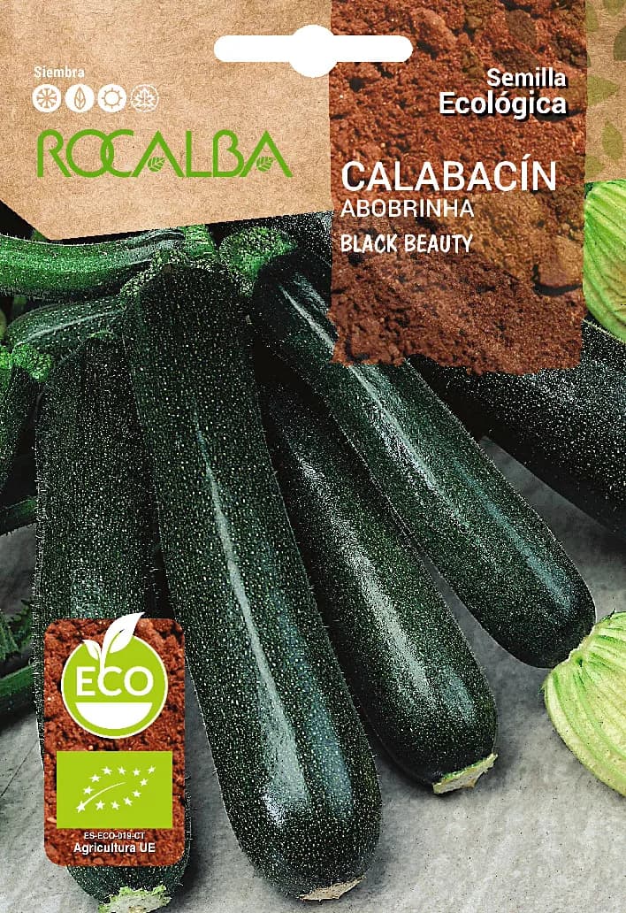 Semilla Ecologica Calabacin Black Beauty — foto principal