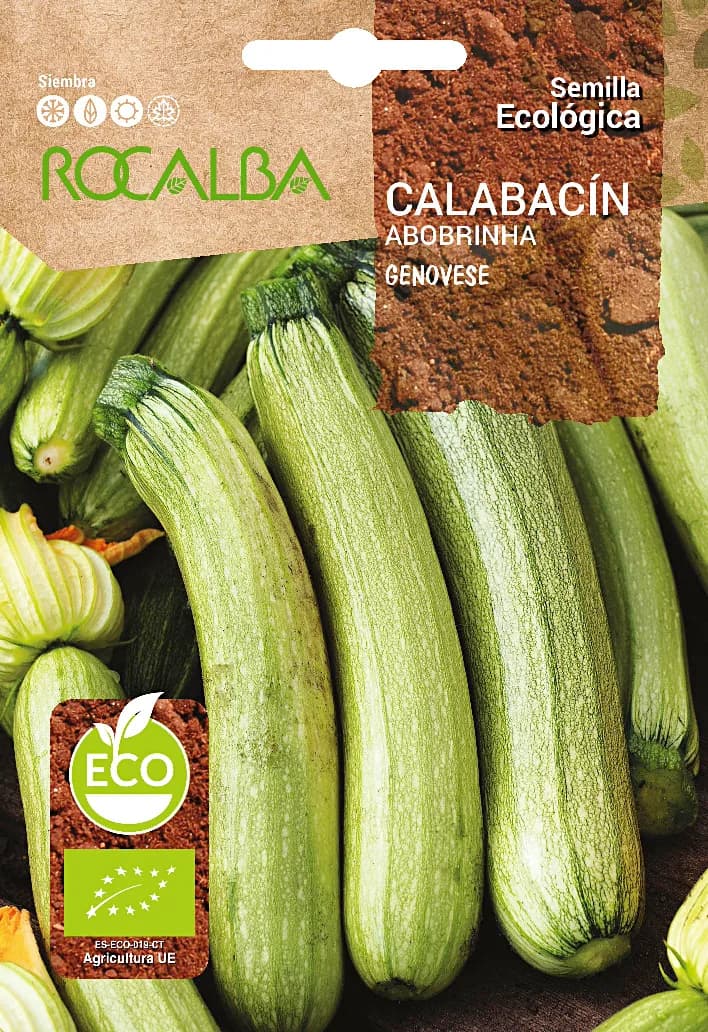 Semilla Ecologica Calabacin Genovese — foto principal
