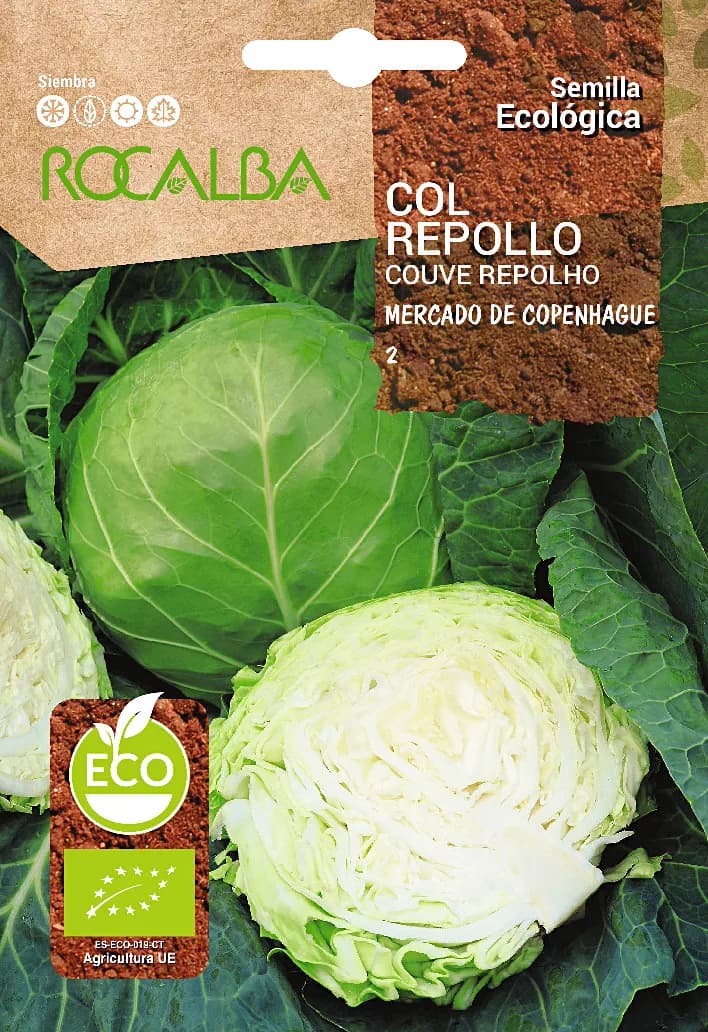 Semilla Ecologica Col Repollo Mercado de Copenhague 2 — foto principal