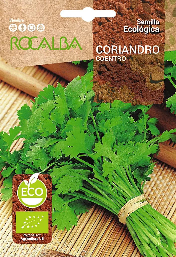 Semilla Ecologica Coriandro — foto principal