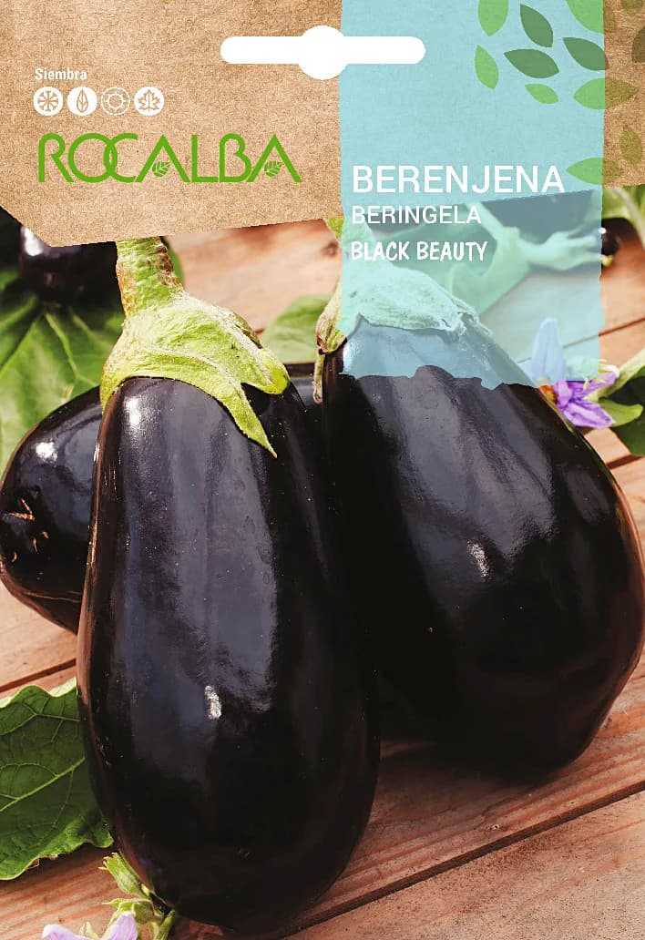 Semilla Berenjena Negra Belleza — foto principal