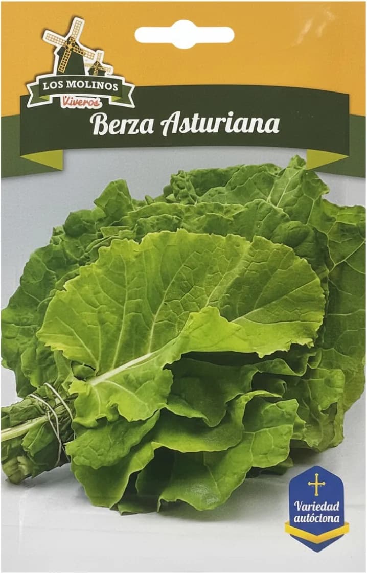 Semilla Berza Amarilla de Asturias 5 Gr — foto principal
