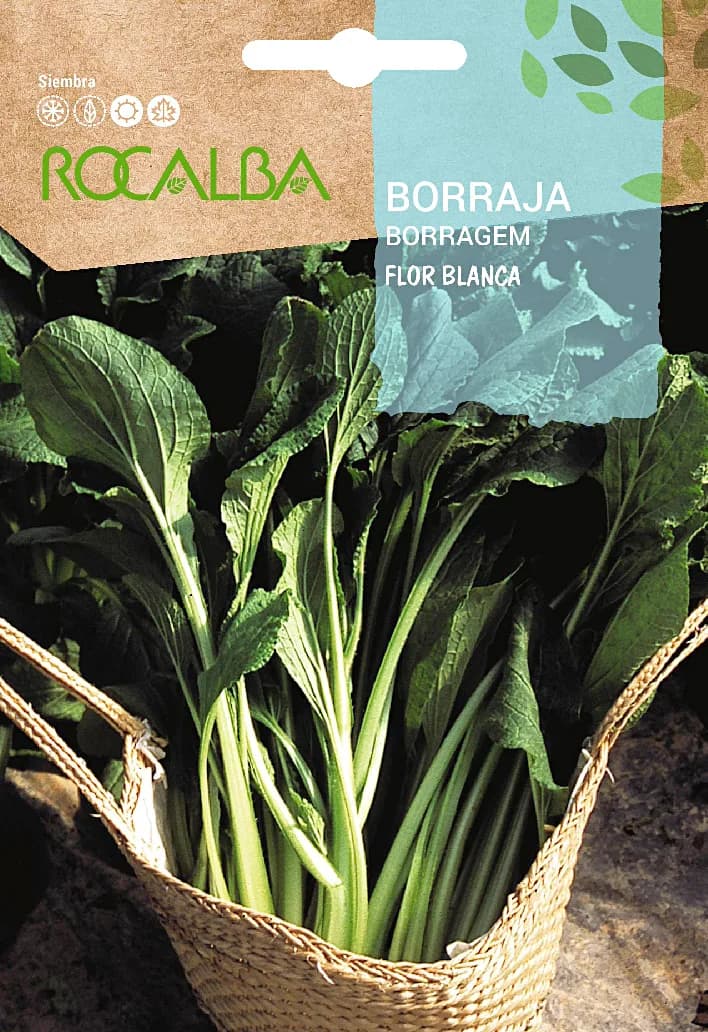 Semilla Borraja de Flor blanca — foto principal