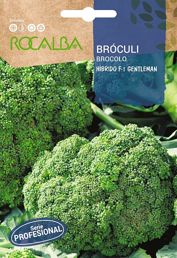Semilla Profesional Brocoli Hibrido F1 Gentelman — foto principal
