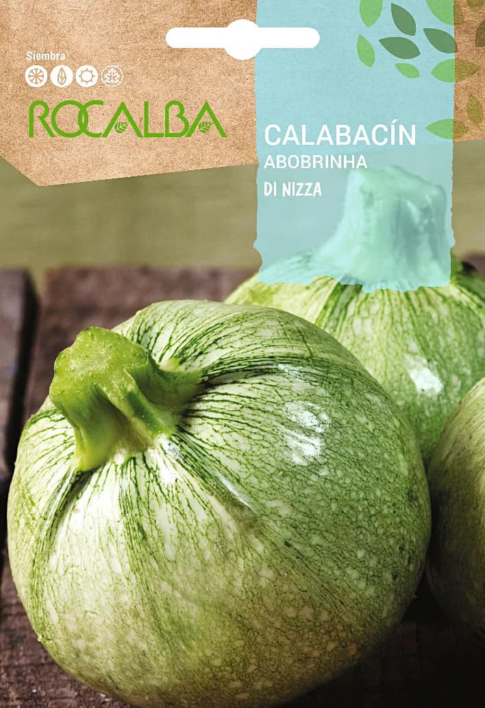 Semilla Calabacin Redondo de Niza — foto principal