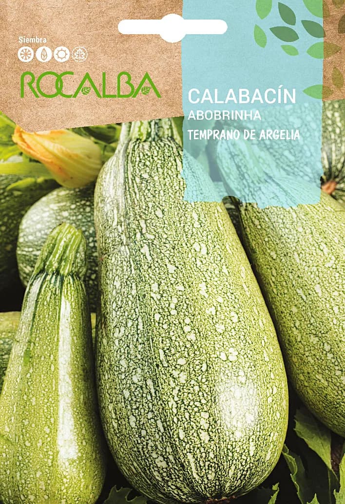Semilla Calabacin Temprano de Argelia — foto principal