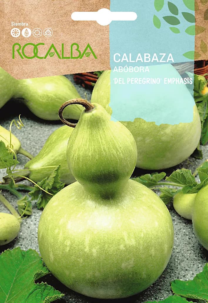 Semilla Calabaza del Peregrino — foto principal