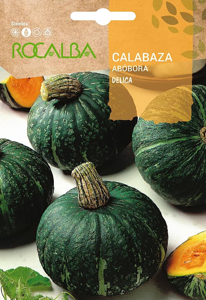 Semilla Calabaza Delicia 3 gr — foto principal