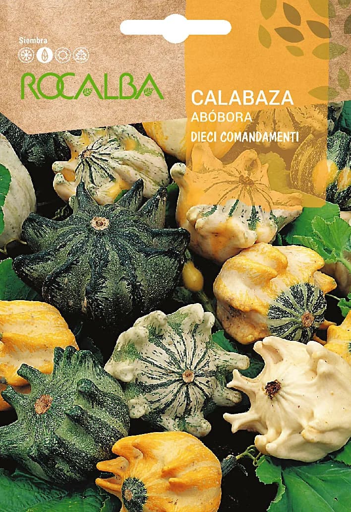 Semilla Calabaza Dieci Comandamenti 2 gr — foto principal