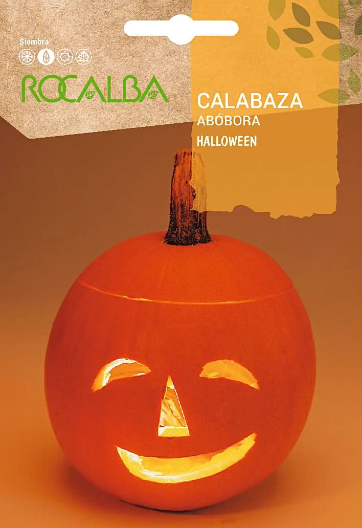 Semilla Calabaza Halloween 5 gr — foto principal