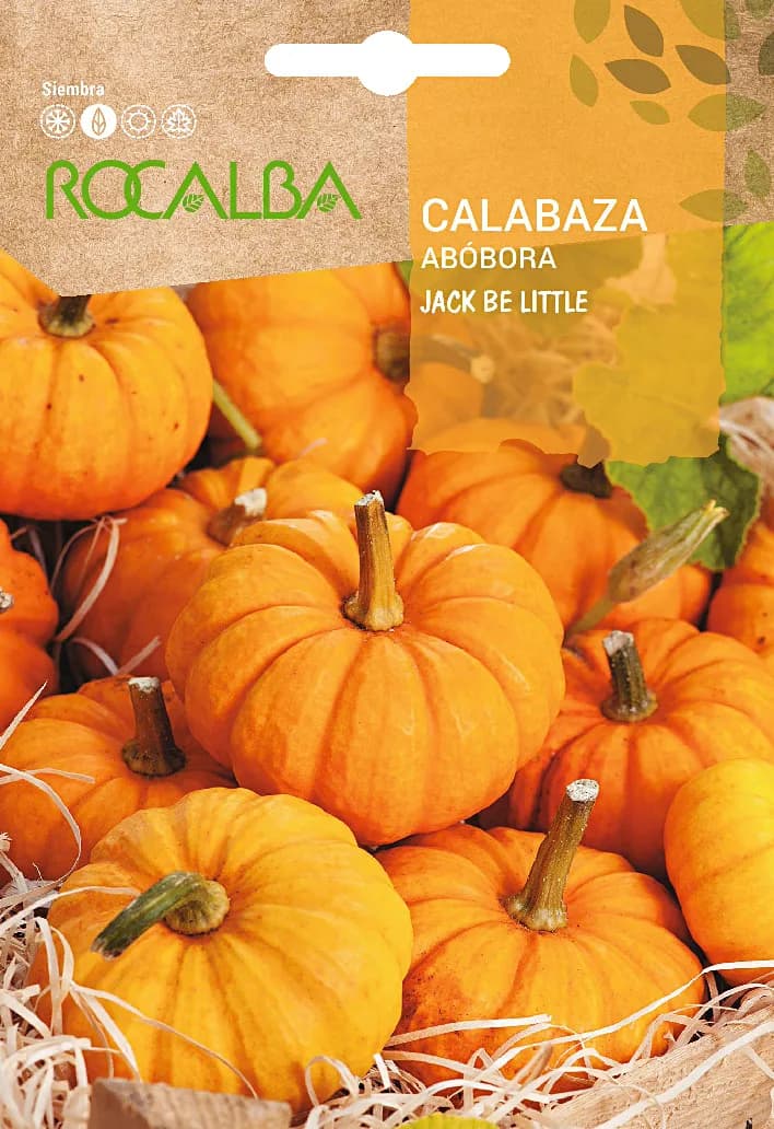 Semilla Calabaza Jack Be Little 3 gr — foto principal
