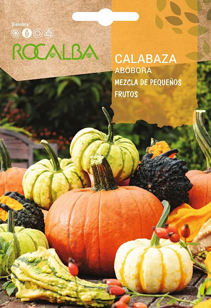 Semilla Calabaza Mezcla de Pequeños Frutos 3 gr — foto principal