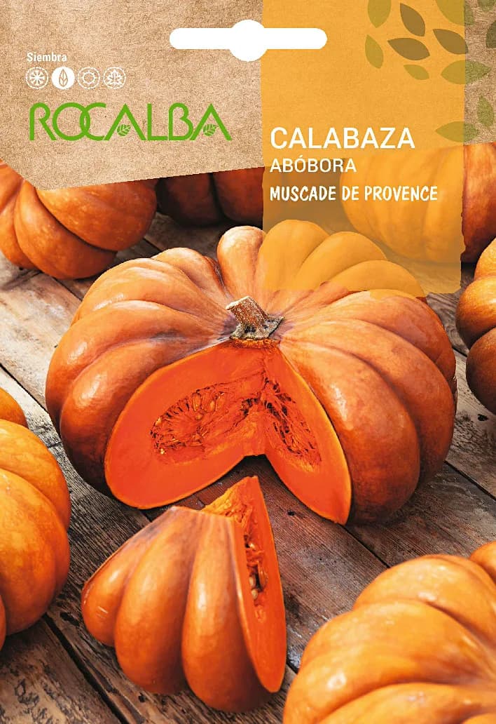 Semilla Calabaza Muscade de Provence 5 gr — foto principal