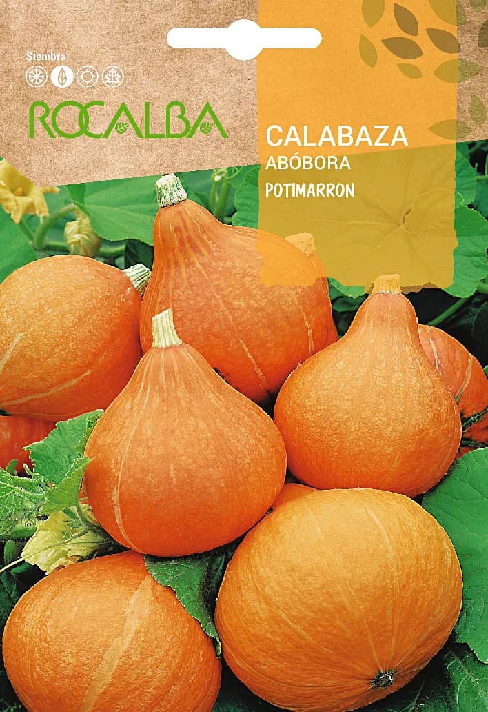 Semilla Calabaza Potimarron Uchiki Kuri 3 gr — foto principal