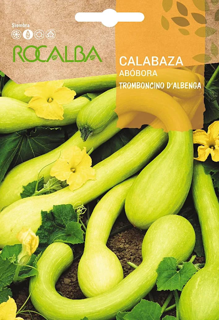 Semilla Calabaza Tromboncino D´albenga 5 gr — foto principal