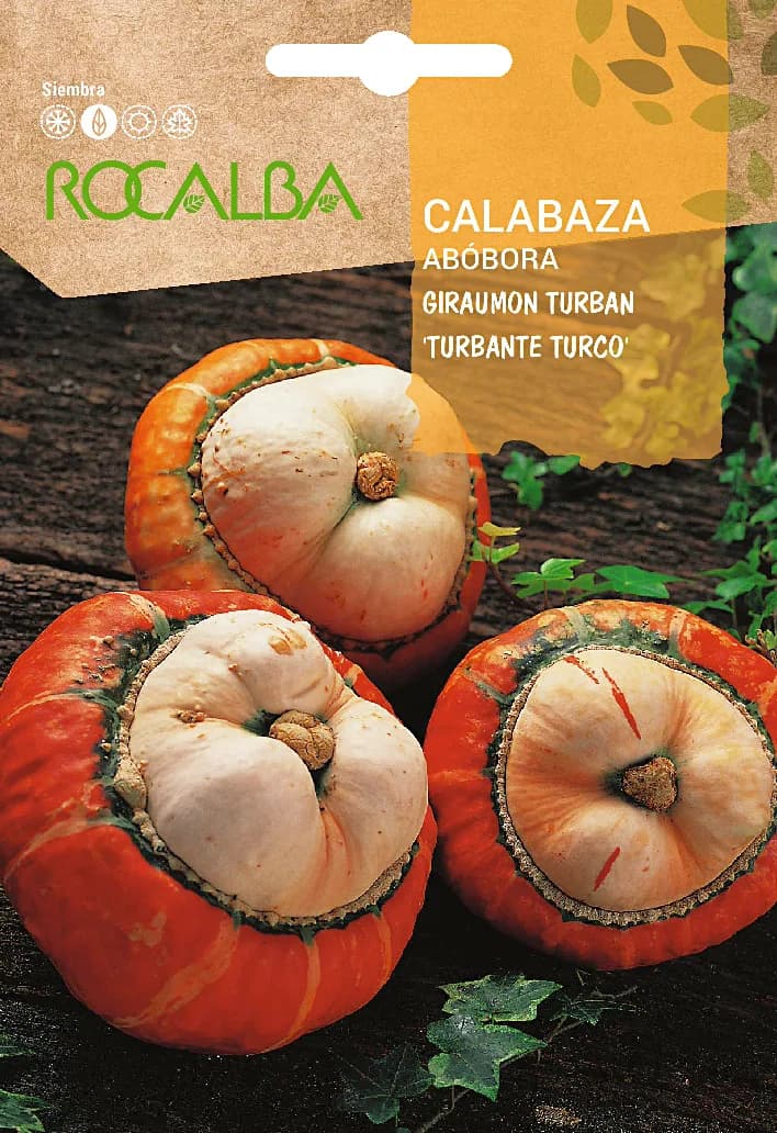 Semilla Calabaza Turbante Turco 5 gr — foto principal
