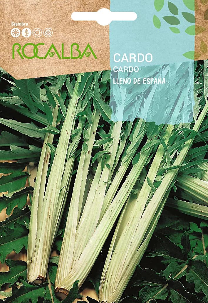 Semilla Cardo Lleno de España — foto principal
