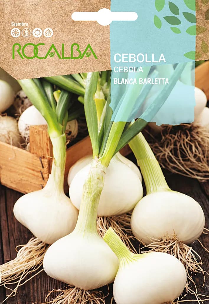Semilla Cebolla Blanca Barletta — foto principal