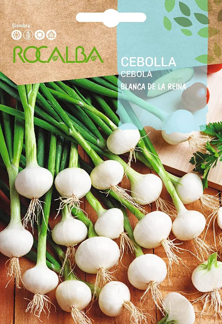 Semilla Cebolla blanca de la Reina — foto principal
