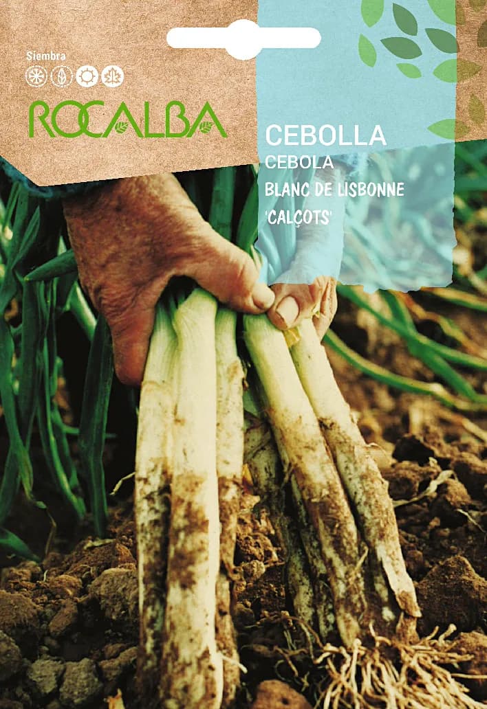 Semilla Cebolla Blanca Grande T. Lerida (Calçot) — foto principal