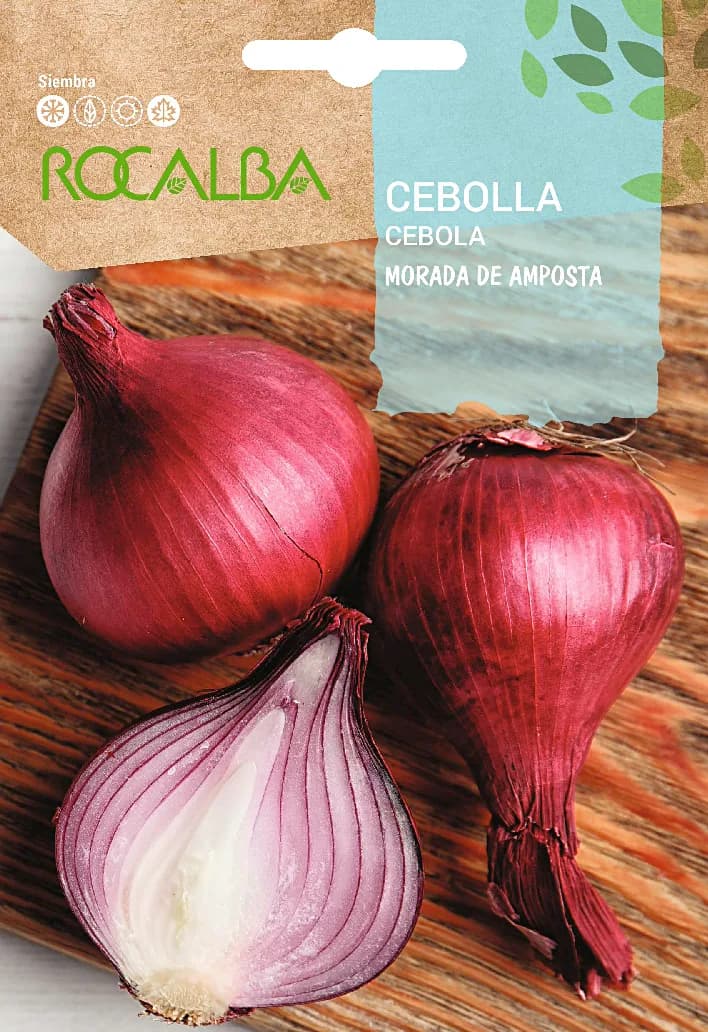 Semilla Cebolla Morada de Amposta — foto principal