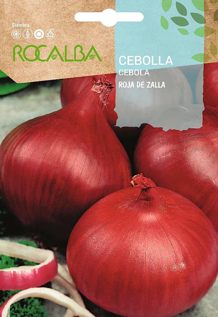 Semilla Cebolla Roja de Zalla — foto principal