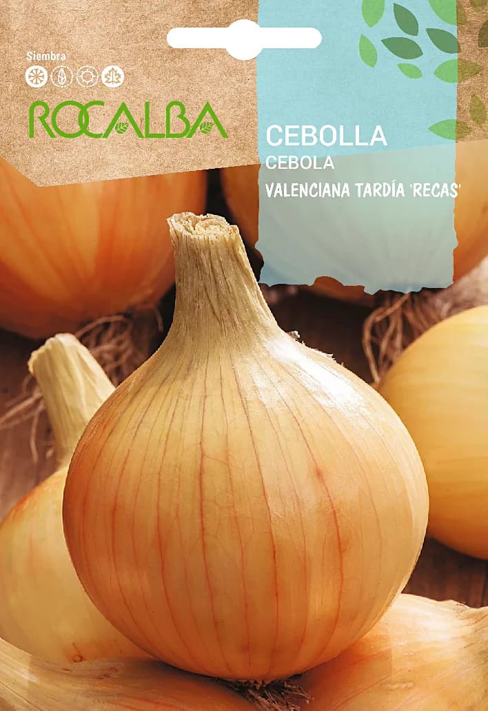 Semilla Cebolla Valenciana Recas — foto principal