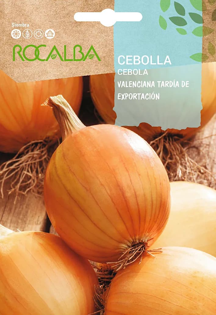 Semilla Cebolla Valenciana Tardia de Exportacion — foto principal