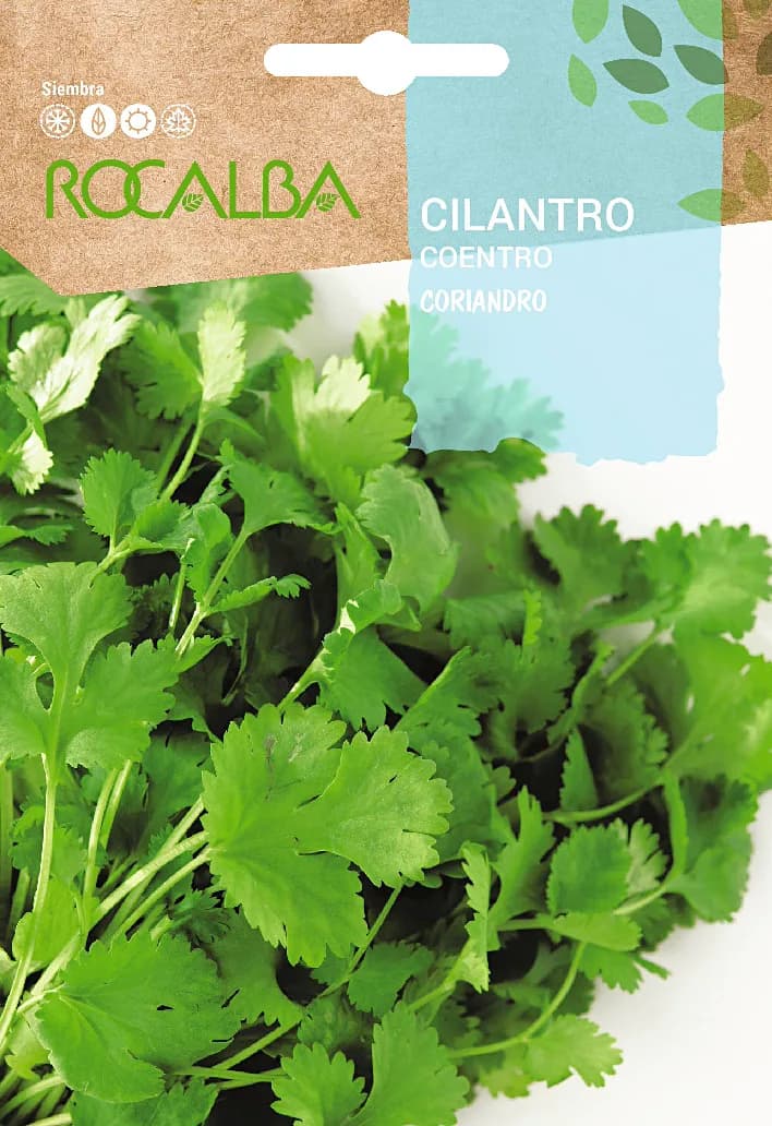Semilla Cilantro Coriandro — foto principal